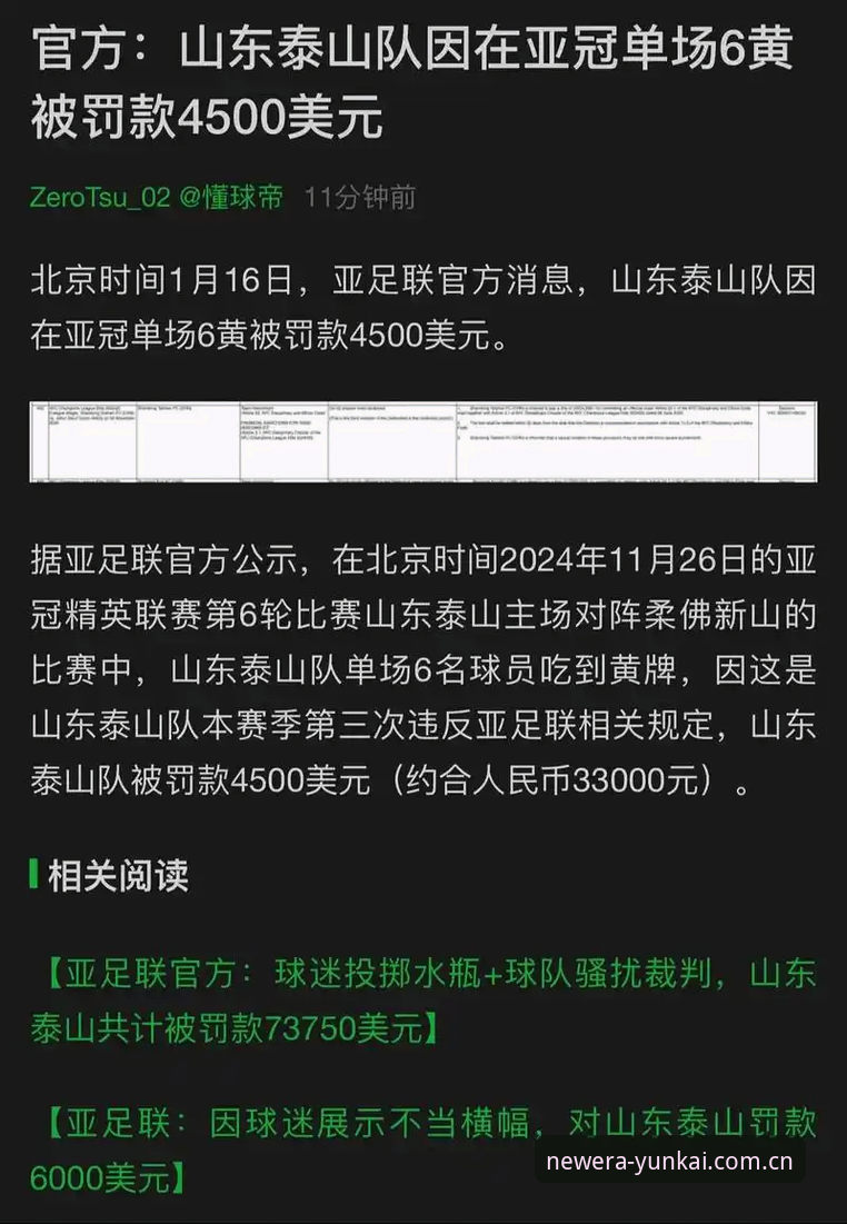 足协重磅禁足名单最新动态：65人遭处罚，云开体育平台深度解析行业洗牌